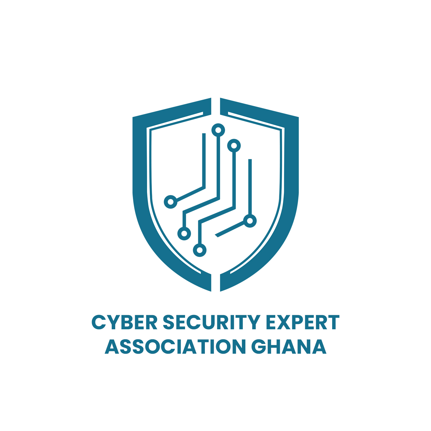Cyber Security Experts Association Ghana